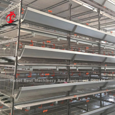 20 ans de durée de vie de couche d'aviculture de poulet d'équipement automatique de cage pour 20 000 couches d'Adela