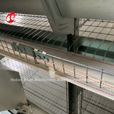 Équipement automatique de cage de poulet de H cadre 4 étages élevage couche de cage pour 50.000 ferme Doris Shi