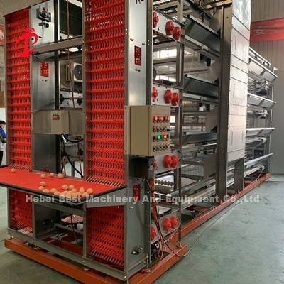 Équipement automatique de cage de poulet galvanisé à chaud pour élevage de poulets