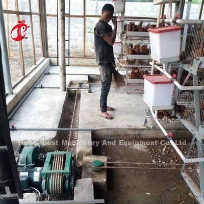 Type automatique de grattoir et de ceinture d'engrais conçu pour la ferme de poulet Sandy
