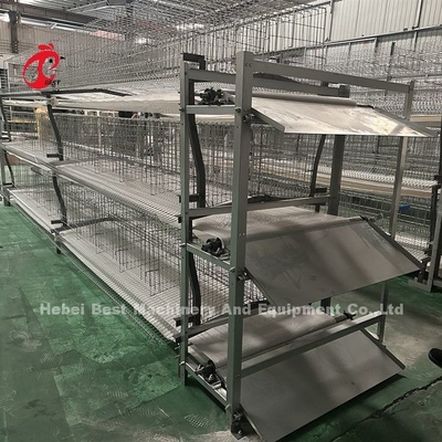 Type automatique de grattoir et de ceinture d'engrais conçu pour la ferme de poulet Sandy
