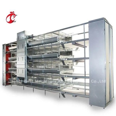 Équipement de cage de poulet automatique de type H pour 25000 oiseaux