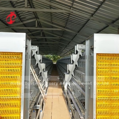 Système d'alimentation automatique utilisé dans les élevages de volailles