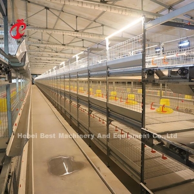 Cage de reproduction de poulets à 380V pratique pour les poulets de la ferme d'Afrique