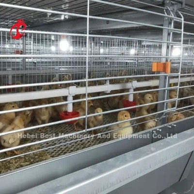 Meilleur système de cage de poulet de type H automatique galvanisé Adela