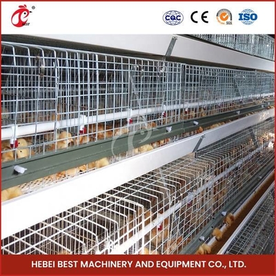 Système automatique de cage de couvée de volaille d'oiseaux de la personnalisation 120 pour des poussins Sandy de poulette