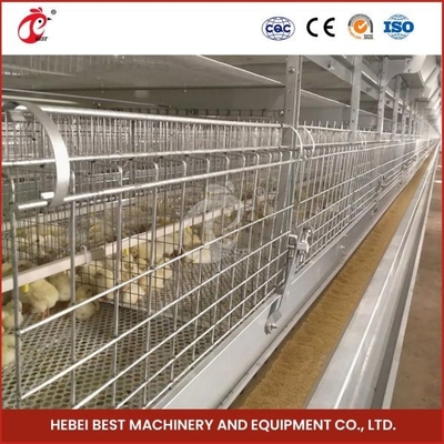 Type automatique Chick Pullet Cage High Capacity d'un jour Adela de la longue de durée de vie cage moderne H de volaille