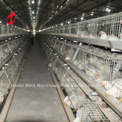 Système de cage de poulet à viande de type A ou H stable, cage de poulet entièrement automatique