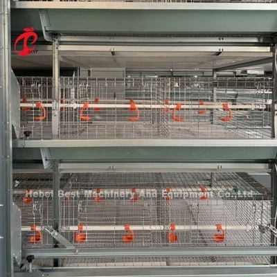 La couveuse galvanisée plongée chaude du poulet 4tiers met en cage le système pleine Doris Shi automatisée