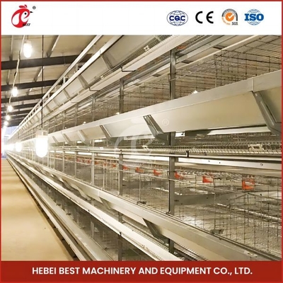 Cages de couvée pour poulets poulets poulets poulets poulets poulets poulets poules poules poules poules poules poules poules poules poules poules poules poules poules poules poules poules poules poules poules poules poules poules poules poules poules poules poules poules poules poules poules poules poules poules poules poules poules poules poules poules poules poules poules poules poules poules poules poules poules poules poules poules poules poules poules poules poules poules poules poules pou