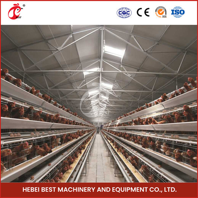 Un type équipement complètement automatique de cage de poulet pour la ferme avicole Sandy de 20 000 capacités