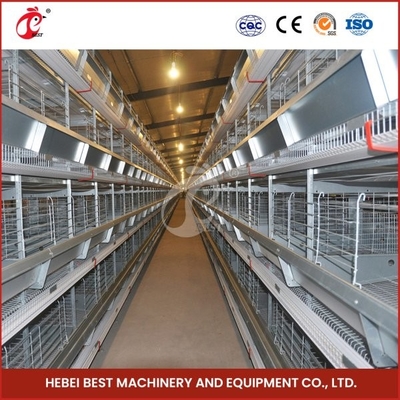 Cages de batterie automatiques de volaille de pondeuses de conception de ferme avicole 144 oiseaux à vendre Mia