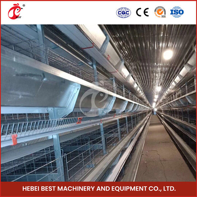 Piles automatiques couche d'œuf Équipement de cage de poulet Ferme Poule pondeuse Poule rosée