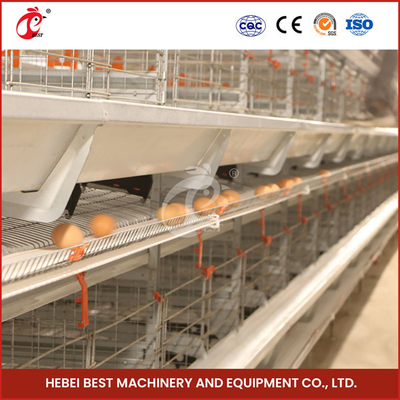 Piles automatiques couche d'œuf Équipement de cage de poulet Ferme Poule pondeuse Poule rosée