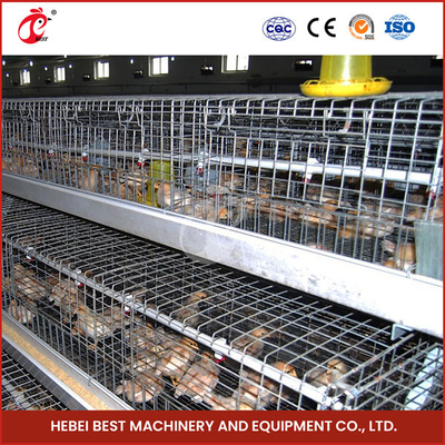 ADA de poulet de couche de Chick Brooder Cage For Day de poulette automatique de ferme avicole vieil