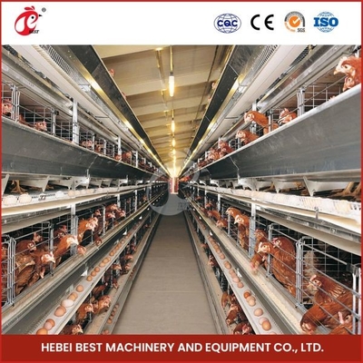 Type de H 30000 cage automatique de poulet de couche d'oeufs d'oiseaux avec l'ADA de bande de conveyeur d'engrais
