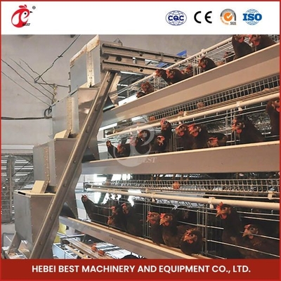 Type cage automatique Mia des poules A/H de ponte d'oeufs des fermes avicoles 20000 de poulet