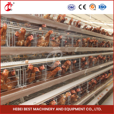 25 ans de 90-200 de poulets de système de alimentation de poulet automatique avec l'iris automatique de buveur