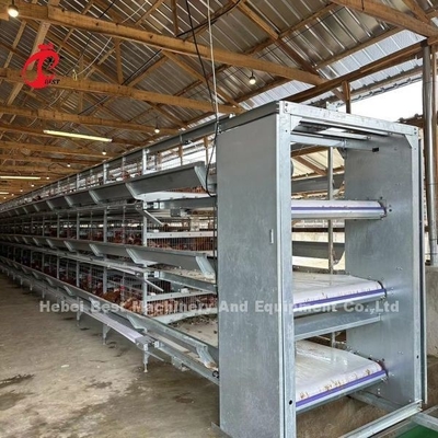 Cage de batterie automatique de poulet d'oiseaux de la couche 160 pour la ferme avicole Emily