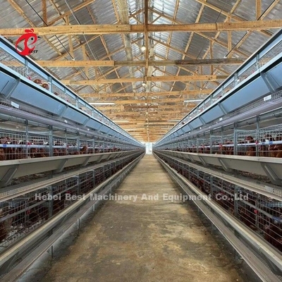 La batterie de volaille de capacité de 120 oiseaux met en cage la ferme automatique de couche d'A ou de H Doris