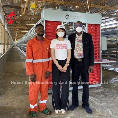 Système électrique Q235 batterie de volaille couche de cage de poulet cage en acier Doris