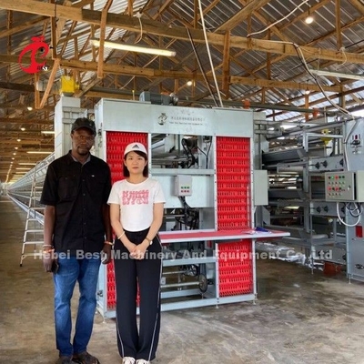 Cage à pile de poulet en acier galvanisé à chaud Q235 Pour le Nigeria Ghana Cameroun Ferme de poulet Doris