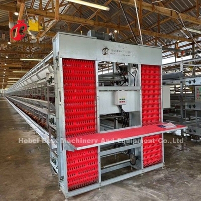 Cage de poulet à poulets de type H entièrement automatique pour 500 à 50000 poulets