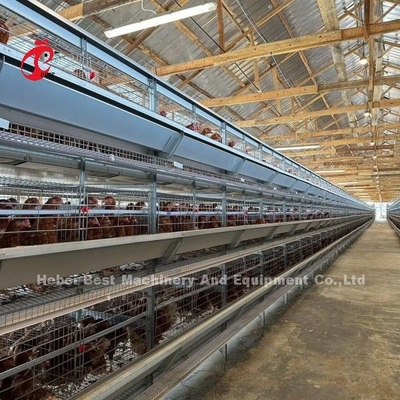 120-200 poulets capacité système de cage à batterie de couche pour 500 à 50000 poulets ferme Doris