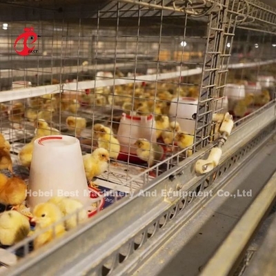 Nettoyage manuel Cage de couvée automatique de poulets de type H
