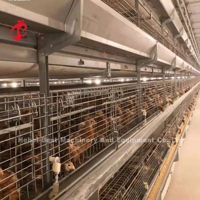 Cage de poulets de chair de poulet en acier plus solide de 1,5 m sur 2,2 m sur 1,75 m Adela