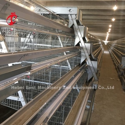Système de cage à batterie de 3/4/5 niveaux pour l'iris de la ferme avicole à poulet à couche automatisée