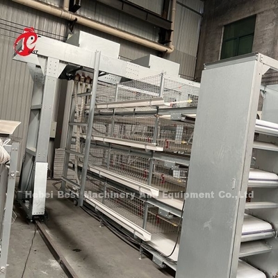 Cage de poulet de niveau 3 de 45 jours Iris très durable