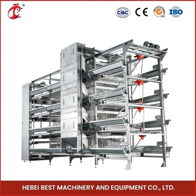 Cage de poulet automatique de type H pour poules Ada