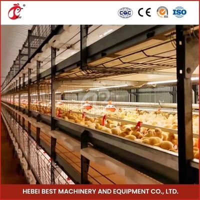 Cage de poulet automatique de type H pour poules Ada