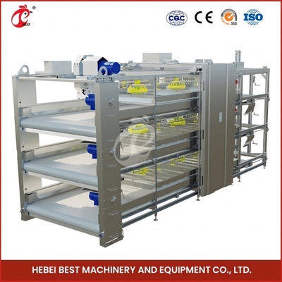 96 oiseaux type H auto poulet poulet cage / un type poulet poulet poulet avec porte coulissante rose