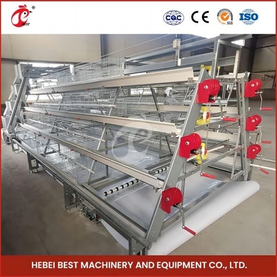 Élevage automatique Poulet à poulets automatique Rose