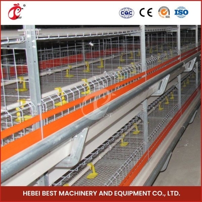 96-128 Poulets poulets de chair poulet cage Mia entièrement automatique