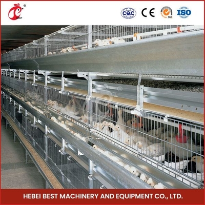Cage de transport de poulets de chair galvanisée à chaud Couleur argentée Durable fiable Mia