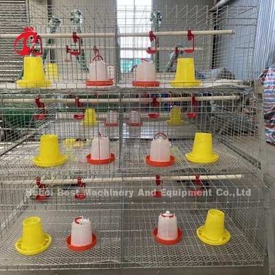 Cage de poulet de poulet de type A ou H pour la ferme avicole Doris