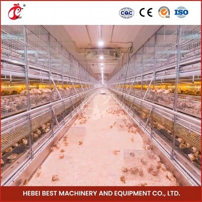 Cage de reproduction de poulets d'élevage de type H Système d'alimentation automatique complet Rose