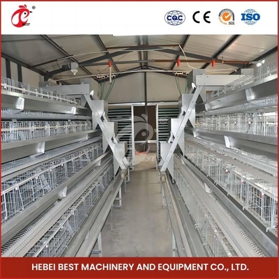 96 oiseaux type H auto poulet poulet cage / un type poulet poulet poulet avec porte coulissante rose