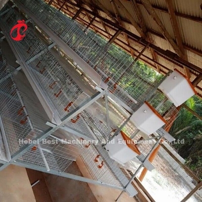 3 ou 4 niveaux de cage d'élevage de poussins H ceinture système de nettoyage manuel 2x2x1,6m Doris