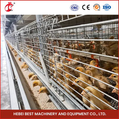 Cage de reproduction de poulets galvanisée à chaud à ventilation automatique Iris