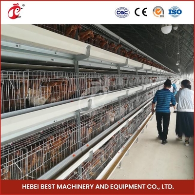12 cellules, une cage de poulet de type poulet à poulets, avec trois niveaux