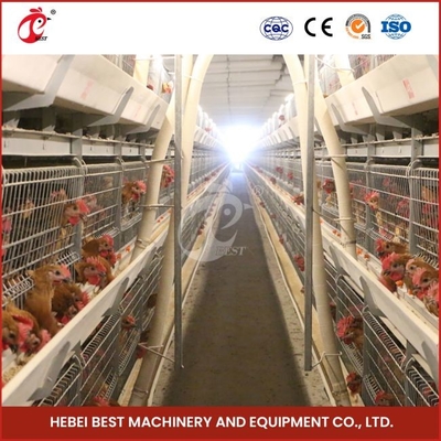12 cellules, une cage de poulet de type poulet à poulets, avec trois niveaux