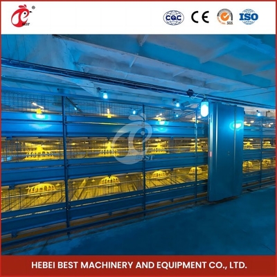 Économie d'espace Système automatique de cage de poulet pour 120-200 poulets Rose