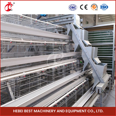 Système automatique de cage d'élevage de volailles avec alimentateur automatique Pour le Nigeria Zambie Ghana Sandy