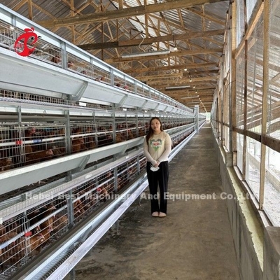 Système de cage de volaille de type H/A avec buveurs automatiques, alimentateurs Installation pour la Tanzanie, l'Ouganda, le Ghana et le Kenya