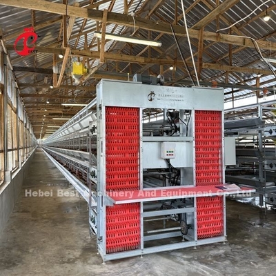 Élevage d'œufs de poulets de volaille couche de cage pulvérisation électrostatique Ada