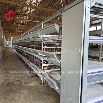 Élevage d'œufs de poulets de volaille couche de cage pulvérisation électrostatique Ada